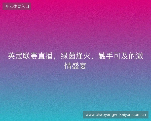 英冠联赛直播，绿茵烽火，触手可及的激情盛宴